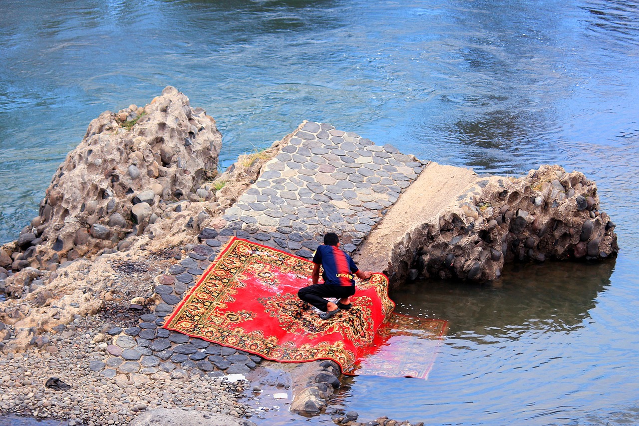 Carpet washing